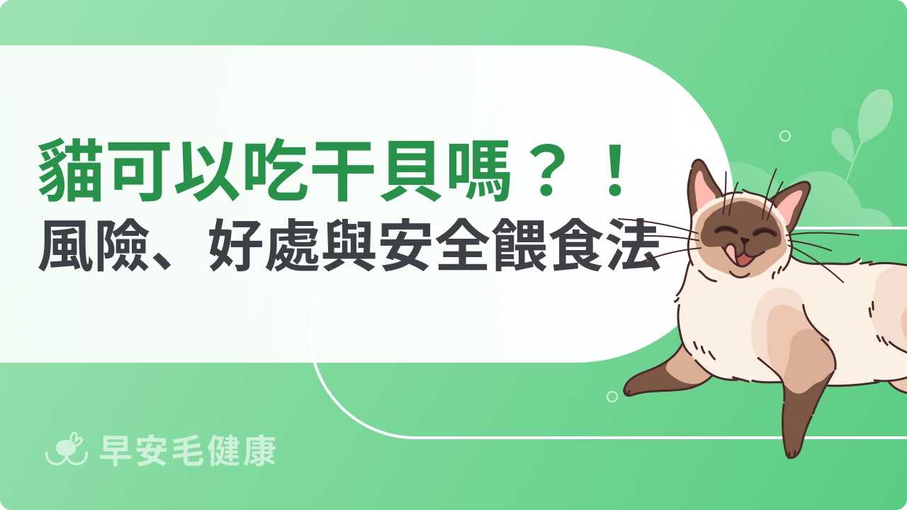 貓可以吃干貝嗎？會過敏嗎？好處、風險與安全餵食重點