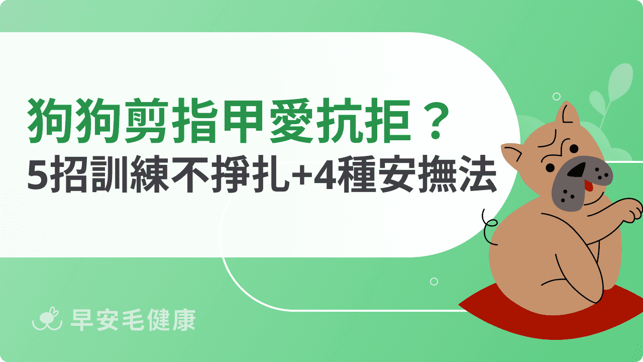 狗狗剪指甲一直掙扎、抵抗？改善抗拒行為的實用方法攻略