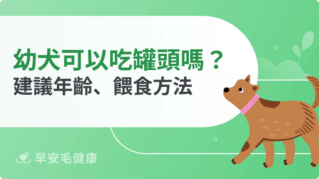 幼犬可以吃罐頭嗎？適合年齡、營養優缺點與餵食重點解析