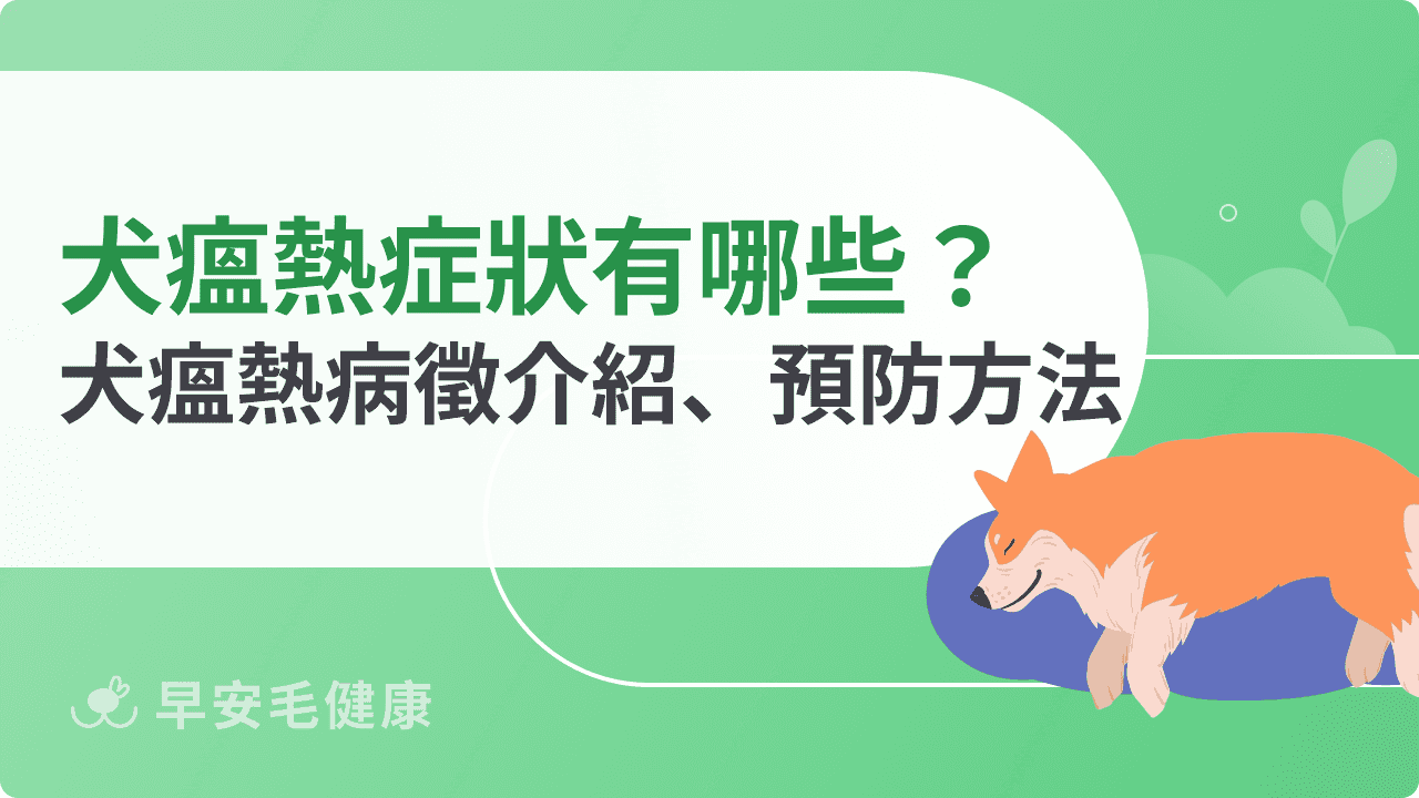 犬瘟熱症狀有哪些？毛爸媽必看犬瘟熱病徵介紹、預防方法指南