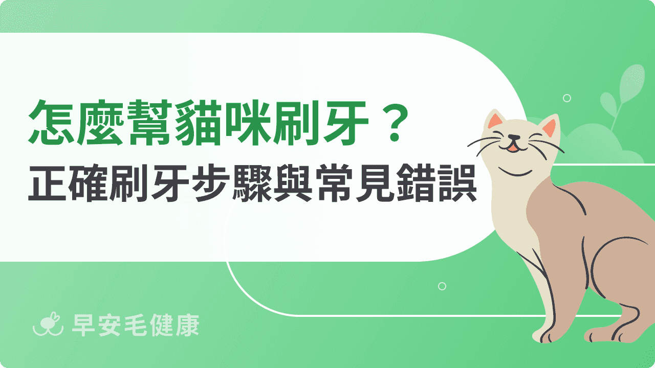 怎麼幫貓咪刷牙？正確刷牙步驟與常見錯誤教學