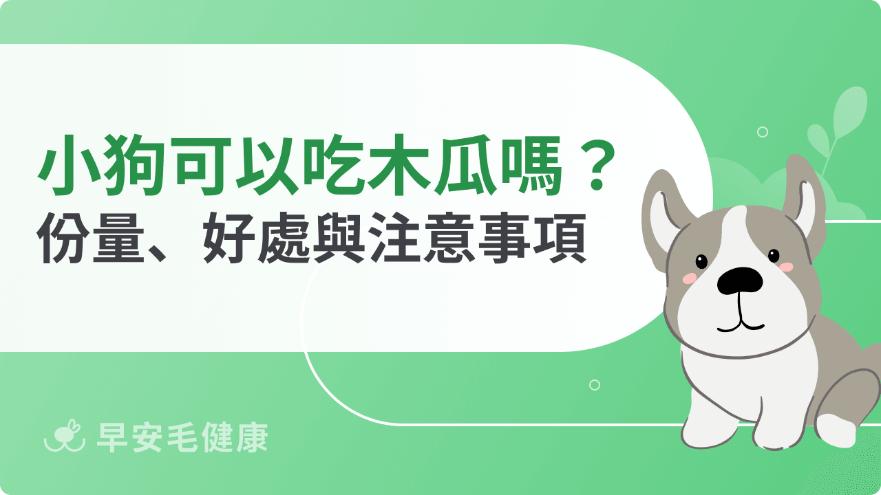 小狗可以吃木瓜嗎？安全餵食份量、營養好處與注意事項