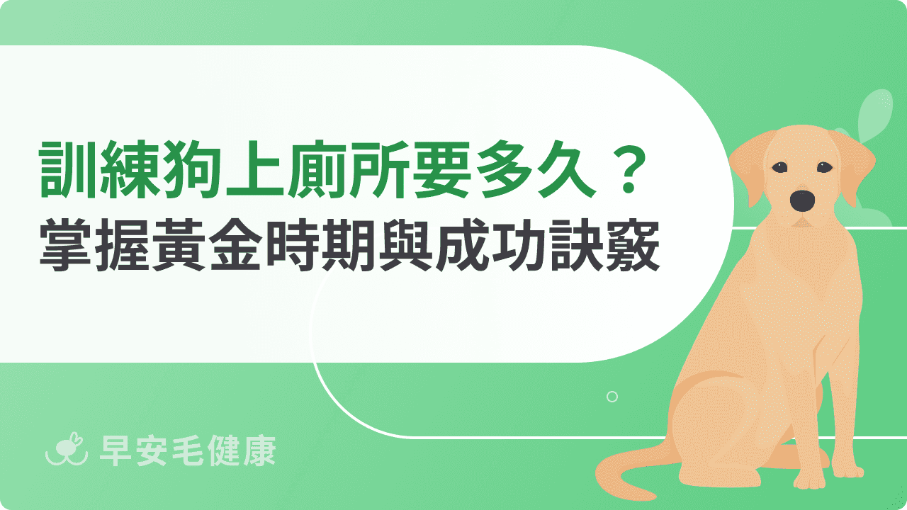訓練狗狗上廁所要多久？關鍵時期與成功訣竅一次看懂