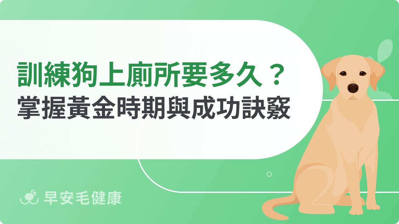 訓練狗狗上廁所要多久？關鍵時期與成功訣竅一次看懂