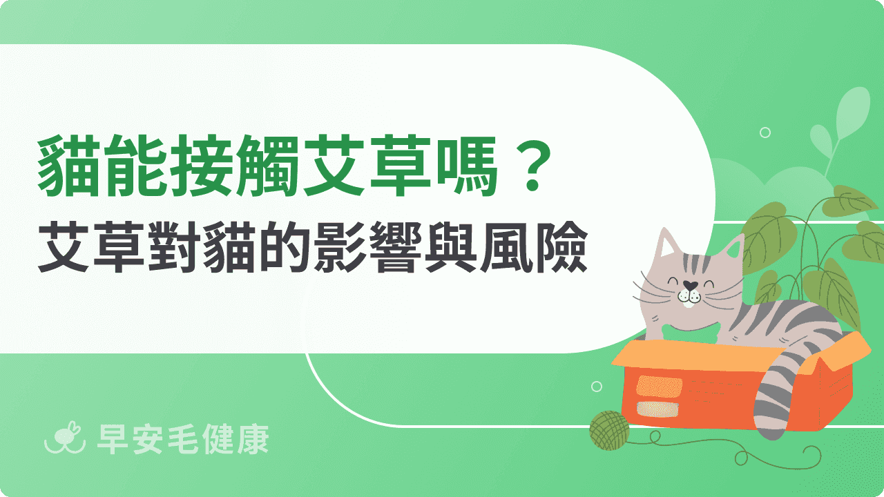 貓能接觸艾草嗎？揭開艾草對貓咪的影響與風險