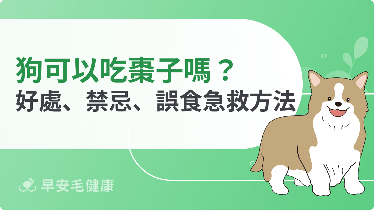 狗可以吃棗子嗎？會不會噎到？好處、禁忌與正確餵食方式