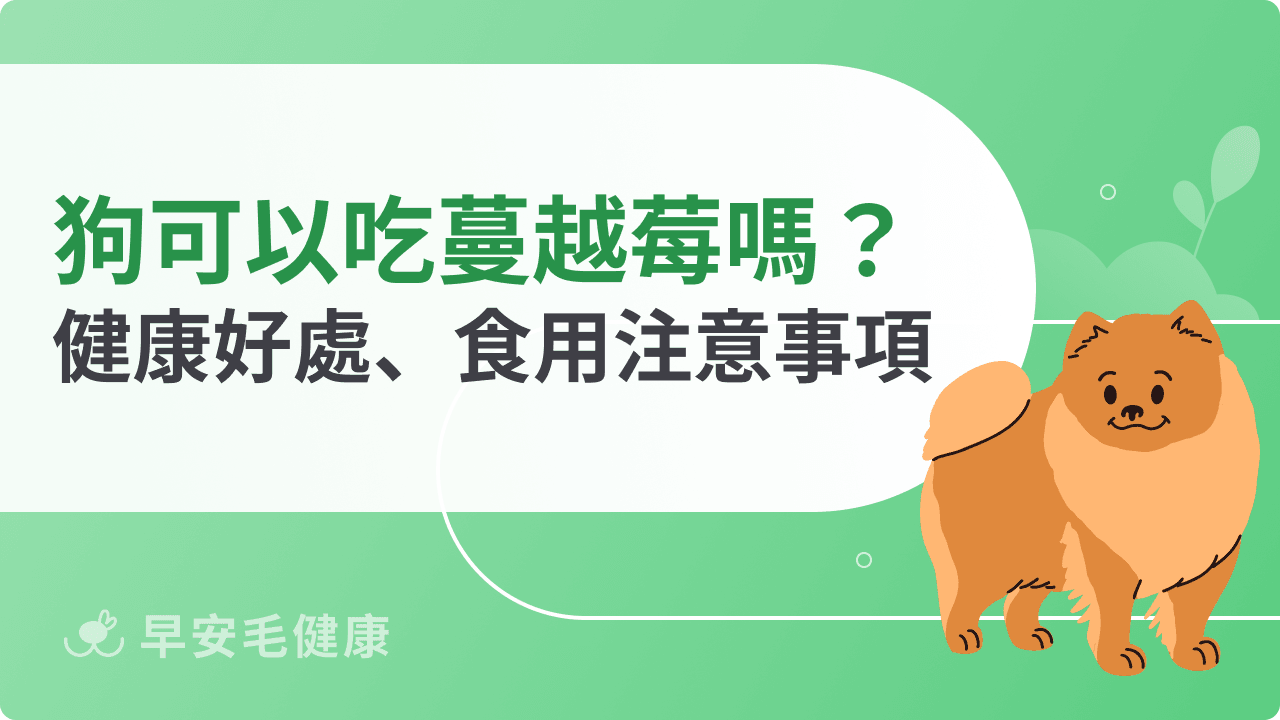 狗可以吃蔓越莓嗎？健康好處、餵食隱憂、食用注意事項說明