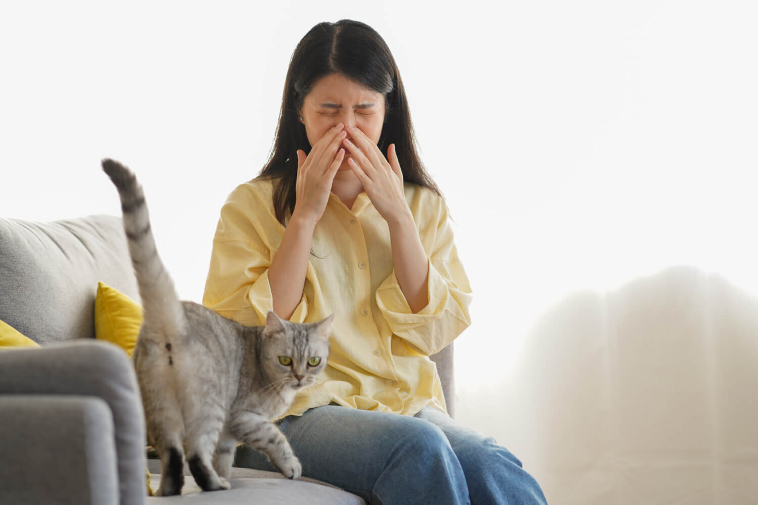 14.cat-hair-allergy-treatment-1