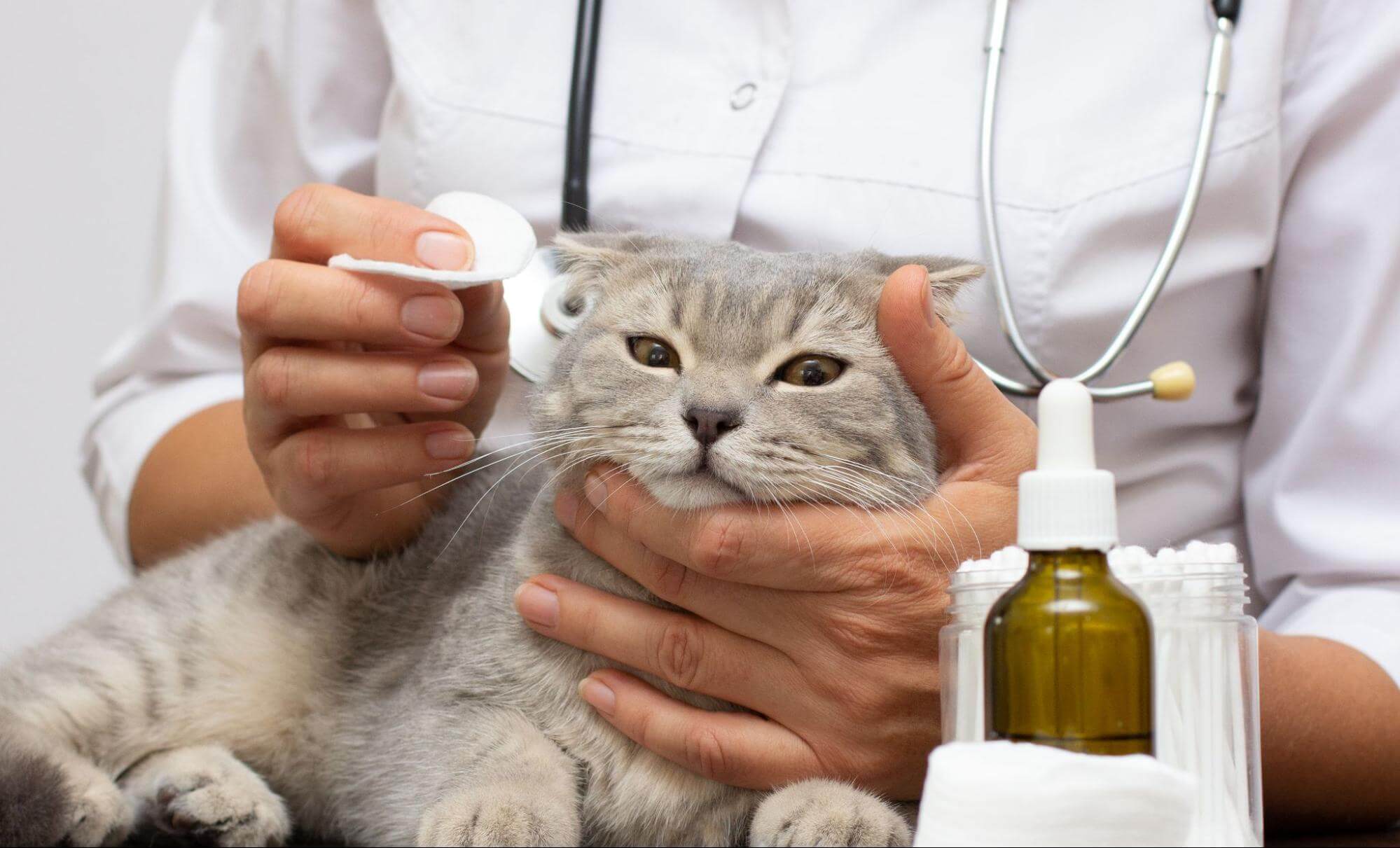 304. AI - ringworm-ointment-1