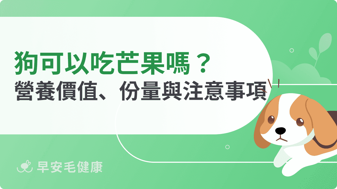狗可以吃芒果嗎？營  養價值、餵食份量與注意事項一次看！
