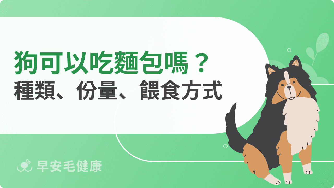 狗可以吃麵包嗎？這些隱藏陷阱要注意！