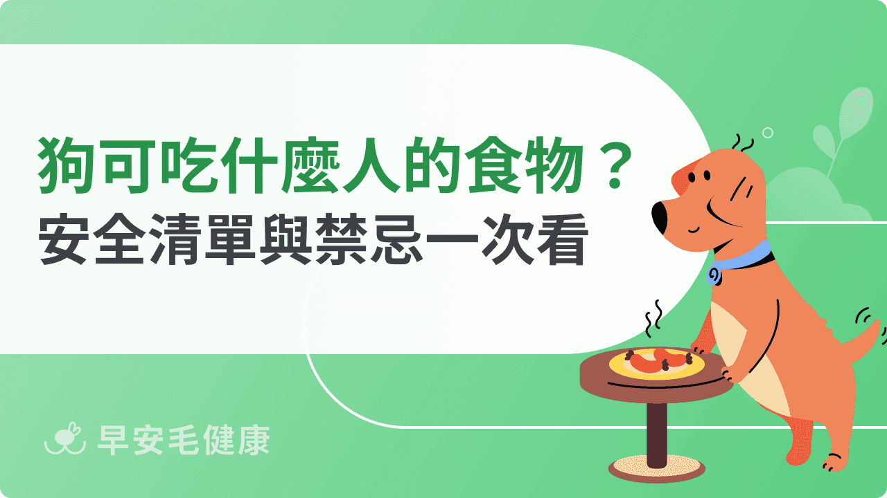 狗狗可以吃什麼人的食物？安全清單與禁忌一次看！