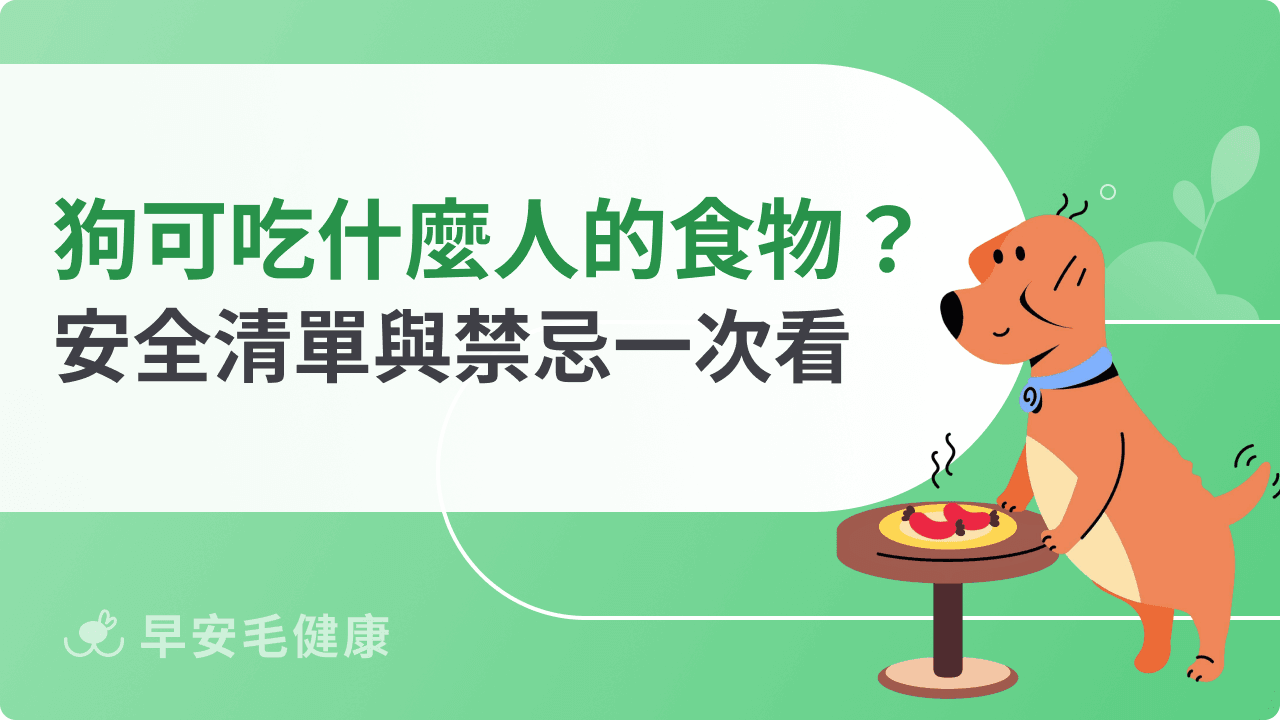 狗狗可以吃什麼人的食物？安全清單與禁忌一次看！
