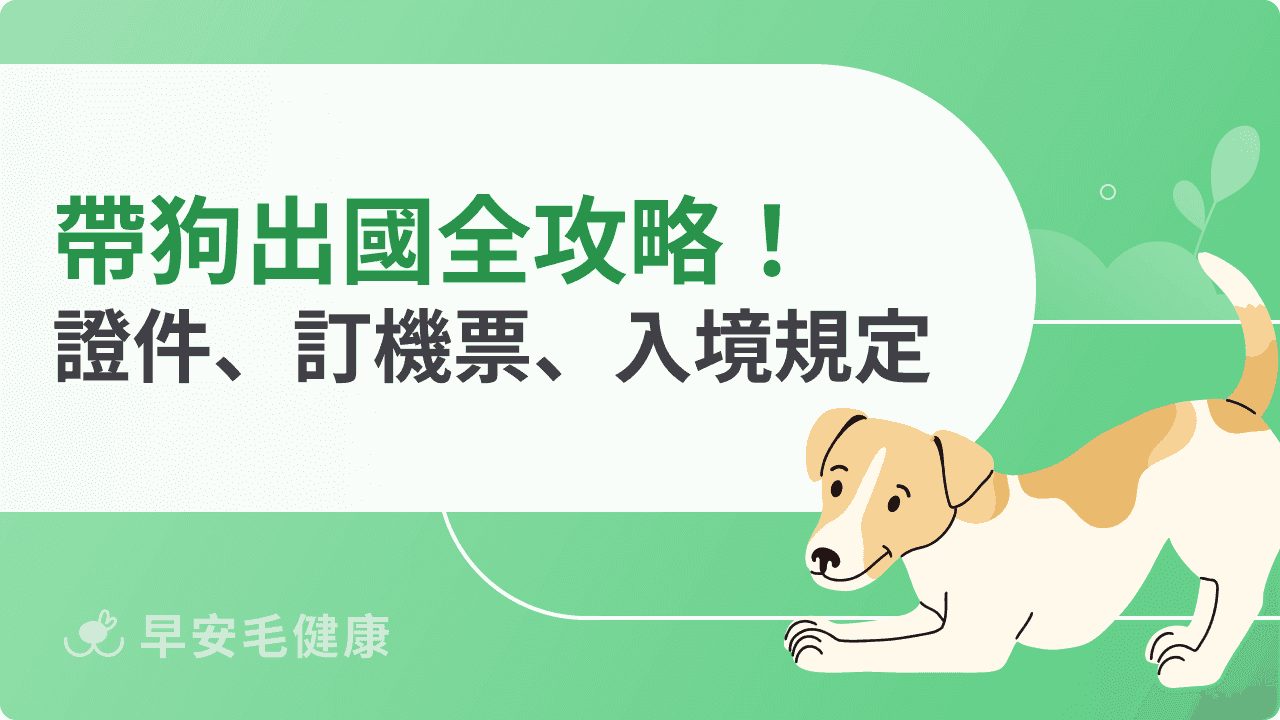 帶狗出國全攻略!辦證件、訂機票、入境規定一次看