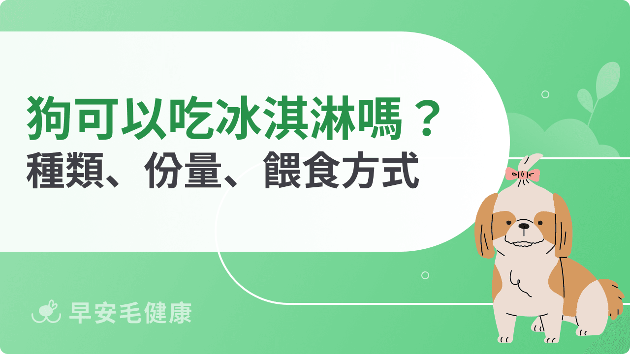 狗可以吃冰淇淋嗎？解析常見迷思與正確夏日消暑方式